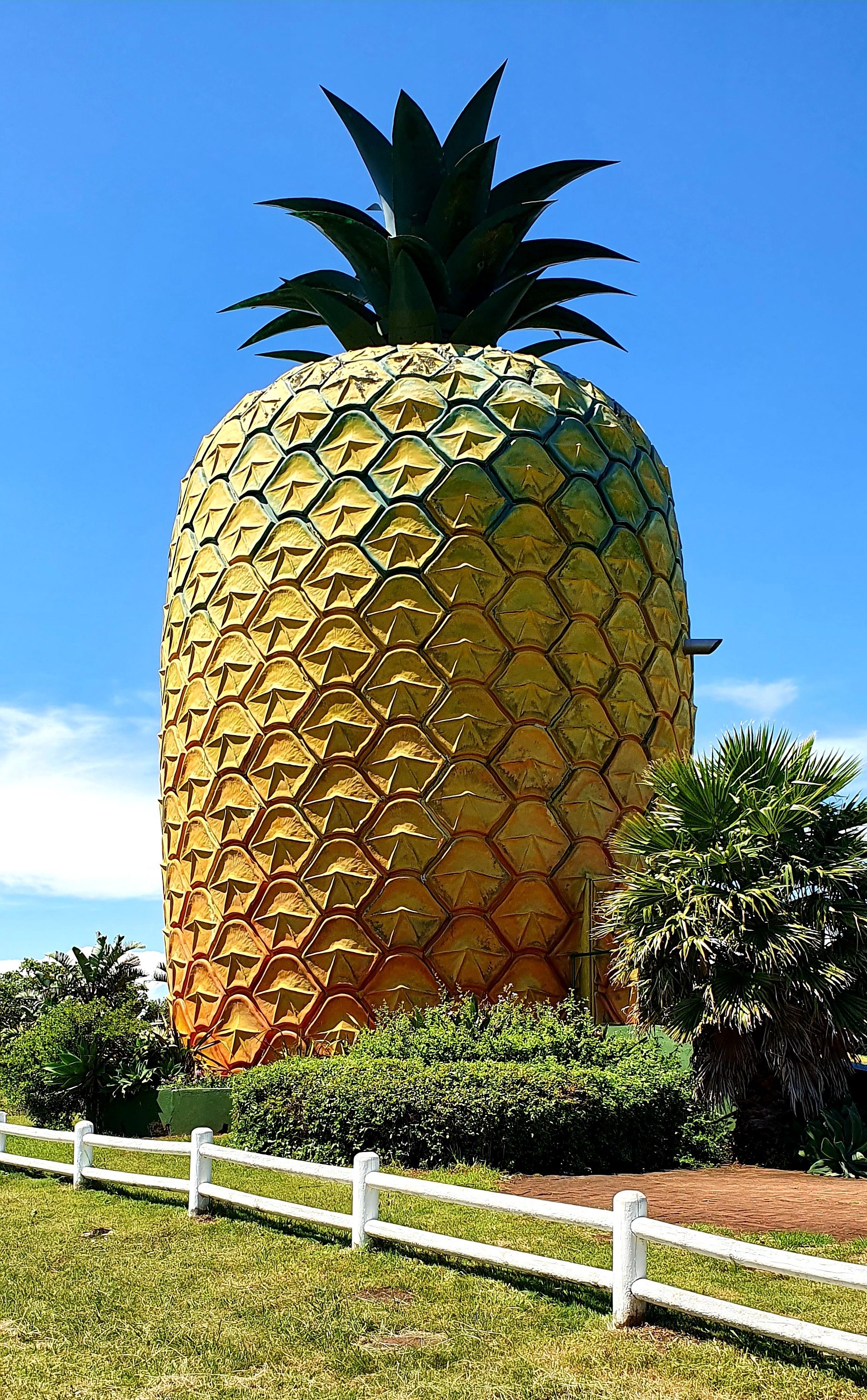 The Big Pineapple.
