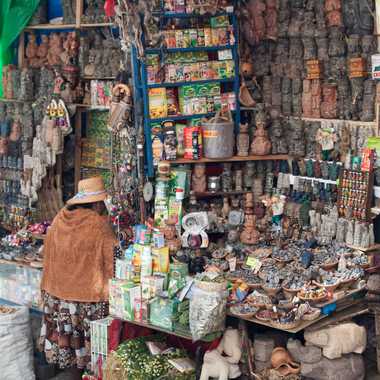 Bolivia’s Witch Market