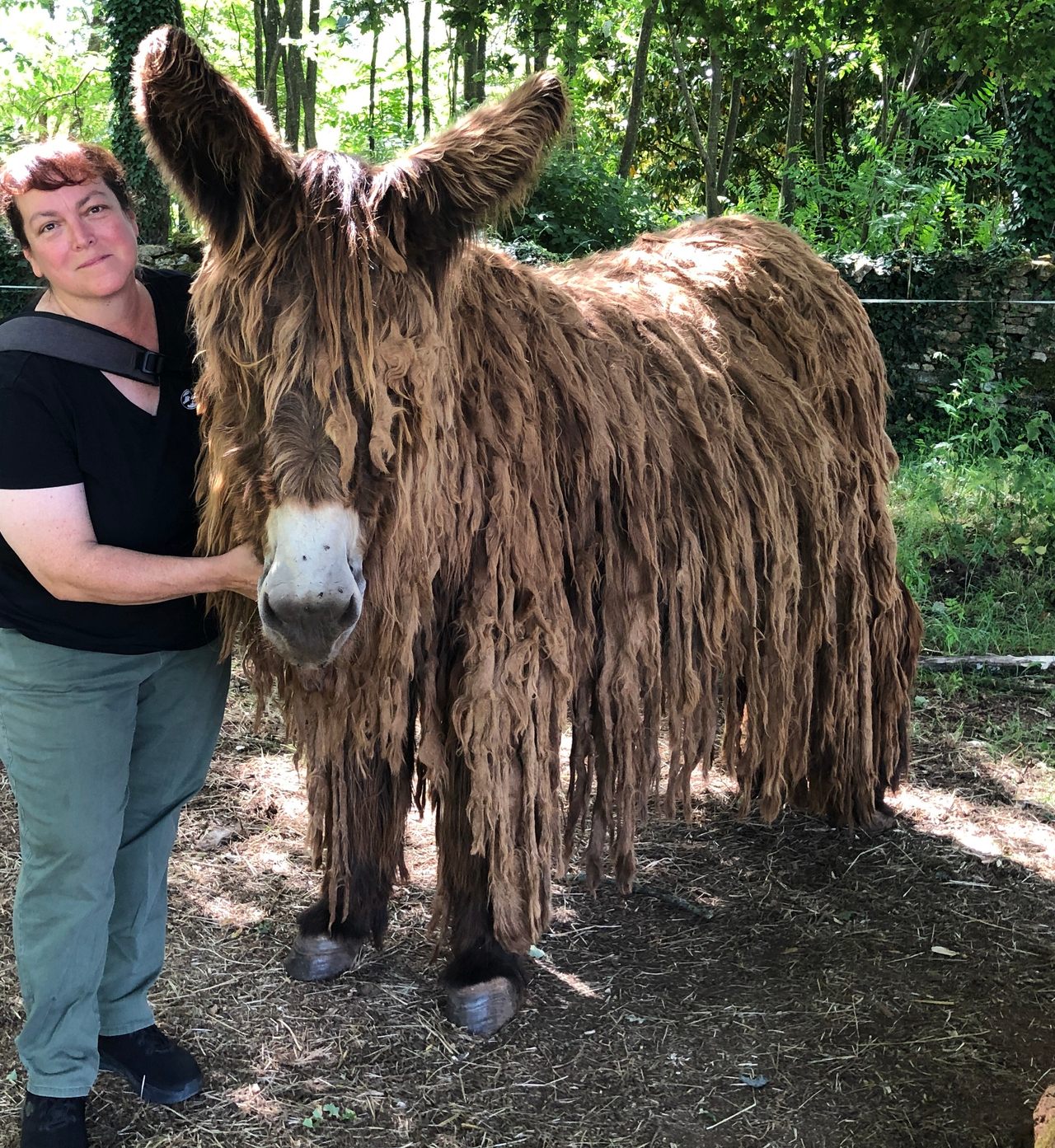 Jeannette Beranger with a Poitou donkey, her favorite heritage breed.